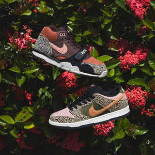 Nike SB x Arts-Rec Skateshop
