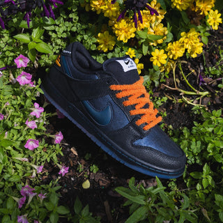 Bluetile x Nike SB Dunk Low Pro "Monarch Butterfly"