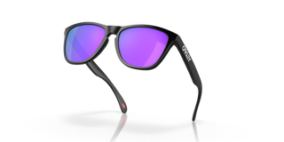 Oakley Frogskins sunglasses, '80s design, lightweight O Matter frame, polarized lenses.