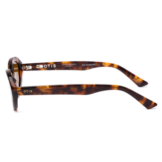 "Otis Eyewear Birdie sunglasses in Eco Sepia Tort frame with Brown lenses — sustainable unisex sunglasses with UV400 protection"