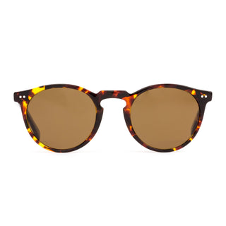 "Otis Eyewear Omar sunglasses in Eco Havana Sun frame with Brown Polar lenses — sustainable polarized sunglasses for men and women"