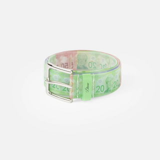 Money Spread Belt in Canadian dollar print on white background