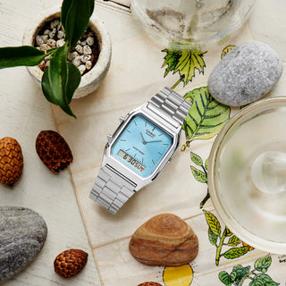 Silver Casio watch with blue face on a decorative surface with rocks and plants