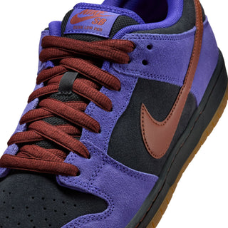 Nike SB Dunk Low Pro skate shoes with leather upper, Zoom Air cushioning, and rubber outsole for traction.