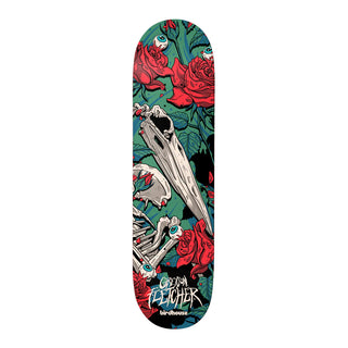 "Birdhouse Greyson Fletcher Tillbrook Deck 8.5 — art by Alex Tillbrook, 100% hard rock Canadian maple"