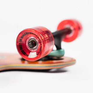 “End view of the Sector 9 9er Mini Fractal showing the layered maple deck, black Gullwing truck, and translucent red wheels.”