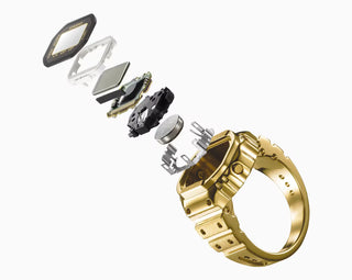 Gold ring with its internal components on a white background