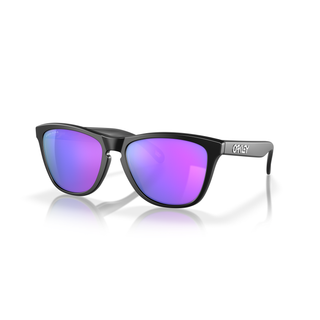 Oakley Frogskins sunglasses, '80s design, lightweight O Matter frame, polarized lenses.