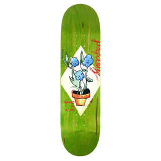 Krooked Knox Blue Flowers 8.5 Skateboard Deck, featuring a traditional 7-ply construction, popsicle shape, and Tom Knox's pro model design.