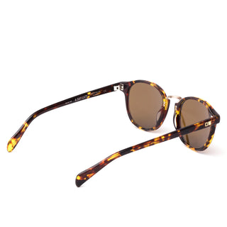 Otis Eyewear A Day Late Polarized Sunglasses Eco Havana Sun/Brown